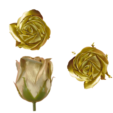 Сапунена Роза - Златна